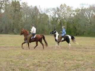 DSCF8226.JPG