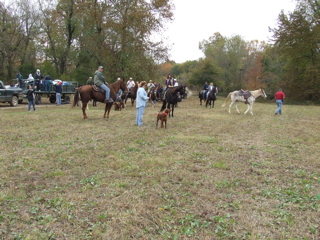 DSCF0234.JPG