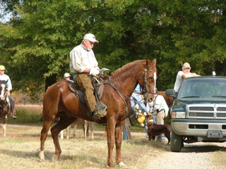 DSCF8237.JPG