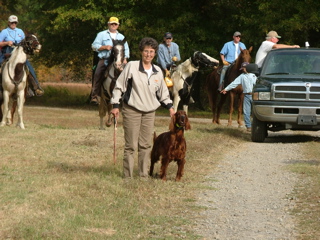 DSCF8238.JPG