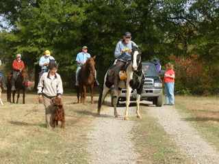 DSCF8239.JPG