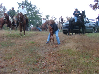 DSCF8253.JPG