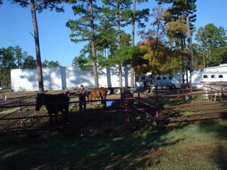DSC00767.JPG