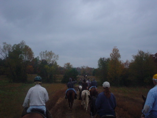 DSC00833.JPG