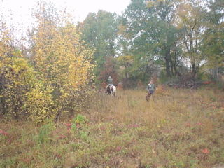 DSC00834.JPG