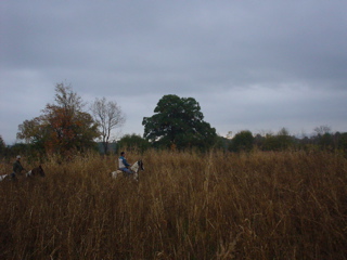 DSC00837.JPG
