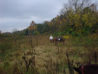 DSC00838.JPG