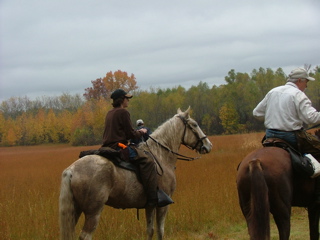 DSCF8261.JPG