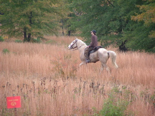 DSCF8268.JPG