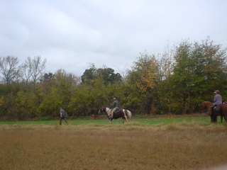 DSC00847.JPG
