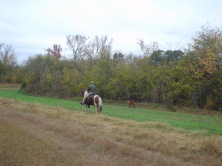 DSC00848.JPG