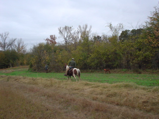 DSC00852.JPG