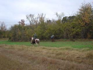 DSC00853.JPG