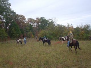 DSC00856.JPG
