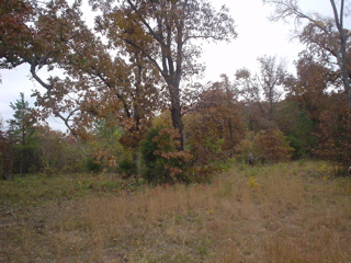 DSC00861.JPG