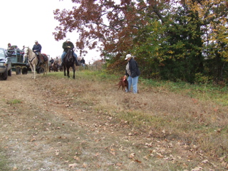 DSCF0238.JPG