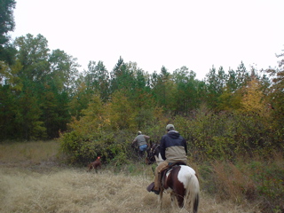 DSC00868.JPG