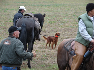 DSC01175.JPG