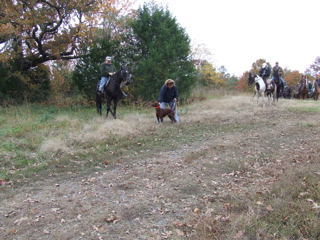 DSCF0245.JPG
