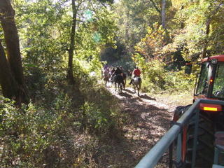 DSCF0218.JPG