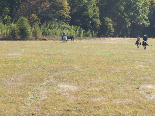 DSCF0220.JPG