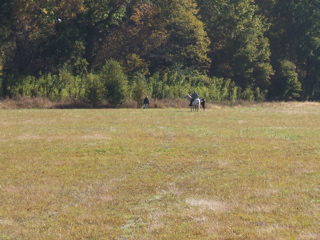 DSCF0221.JPG