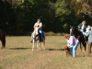 DSCF8159.JPG