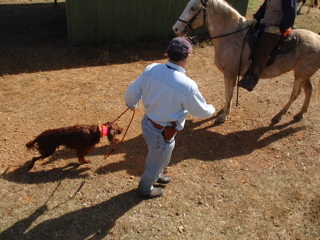 DSC01206.JPG