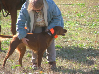 DSCF8349.JPG