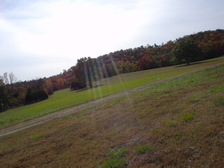 DSC00880.JPG