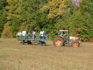 DSCF8166.JPG