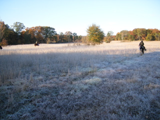 DSCF0169