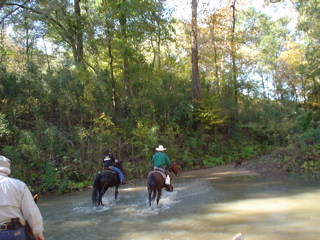 DSC00776.JPG