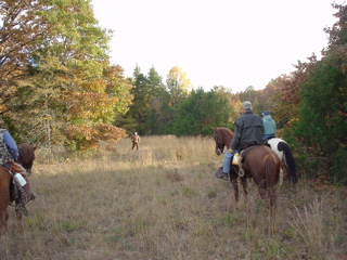DSC00913.JPG