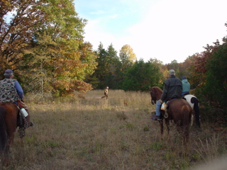 DSC00914.JPG