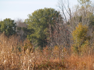 P1010840.JPG