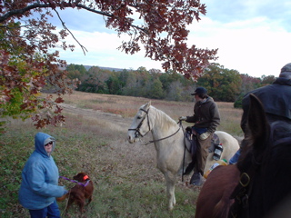 DSC00920.JPG