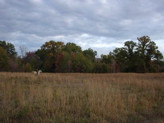 DSC00925.JPG