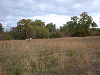 DSC00926.JPG