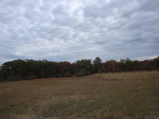 DSC00933.JPG