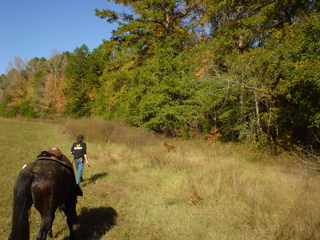 DSC00785.JPG
