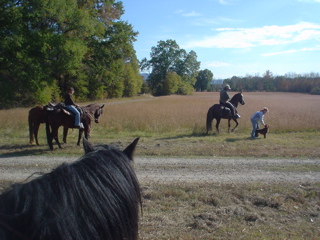 DSC00947.JPG