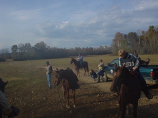 DSC00954.JPG
