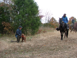 DSCF8444.JPG