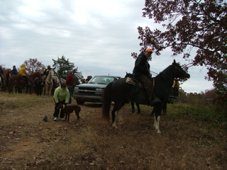 DSCF8446.JPG