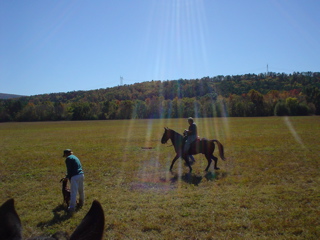 DSC00796.JPG