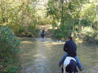 DSC00799.JPG