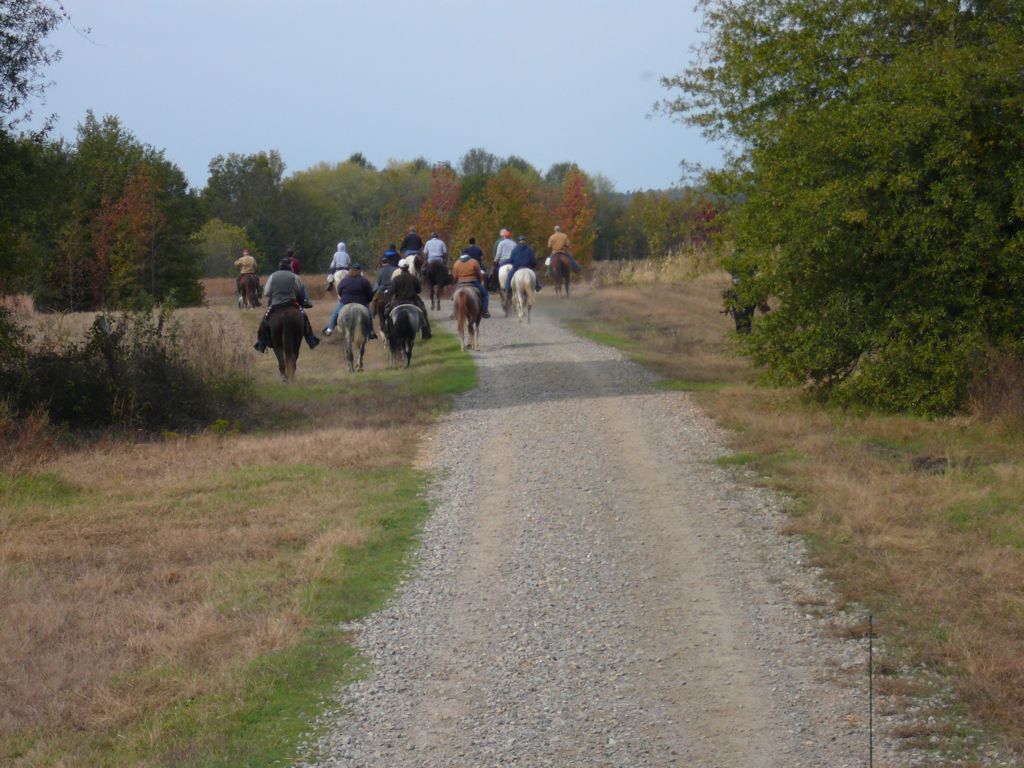P1000391.JPG