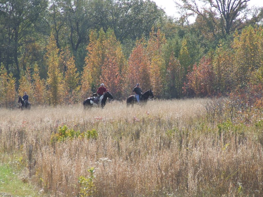 DSCF0644.JPG