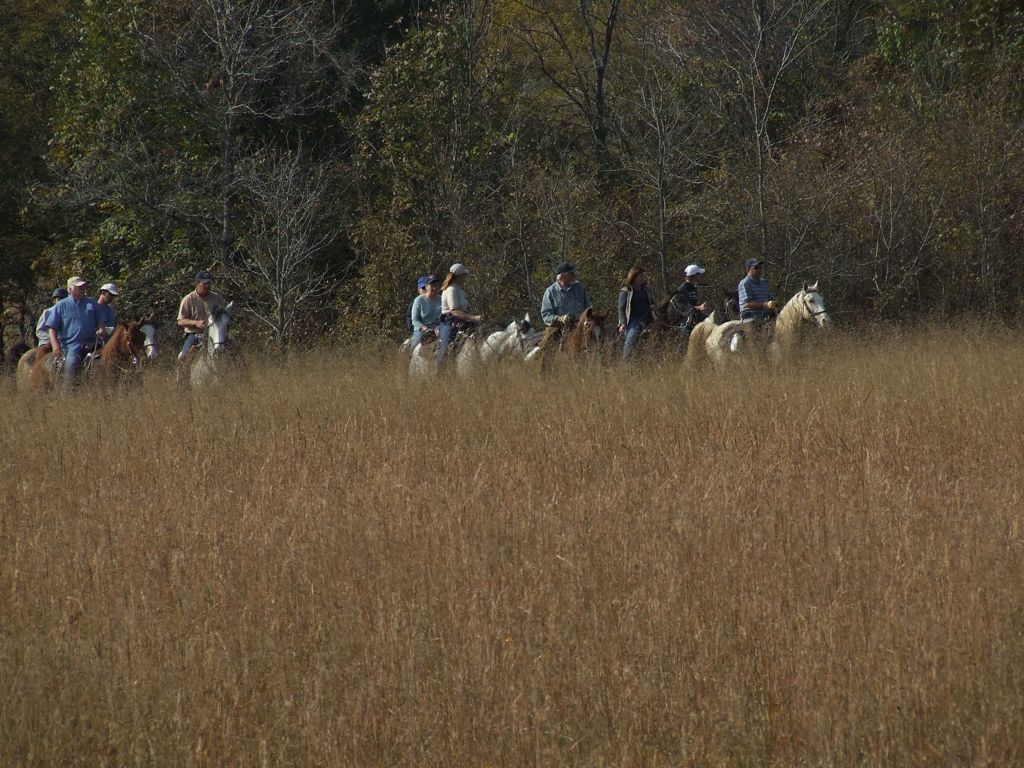 DSCF0647.JPG